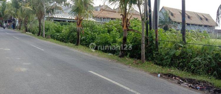 Land For Sale Leasehold Premium Location In Jl. Pantai Pererenan 1