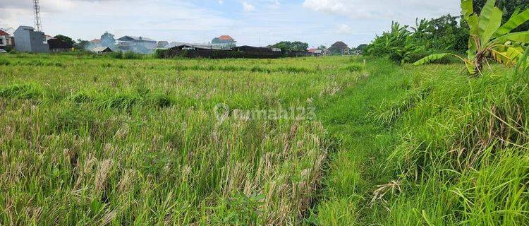 Tanah Kavling Di Jual, Denpasar Area 1