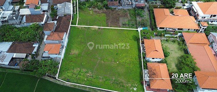 Premium Land For Lease, Canggu Area 1