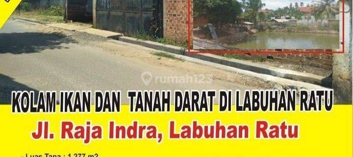 Dijual Tanah Dan Kolam Ikan Di Labuhan Ratu 1