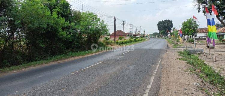 Tanah Jual Di Lampung Tengah 1