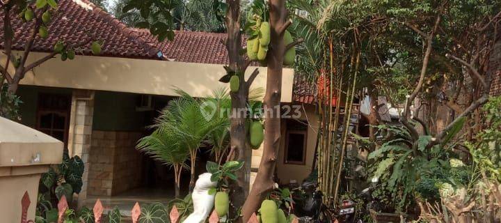 Rumah Jual Di Negeri Sakti 1