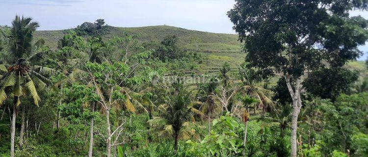 55 Juta Nusa Penida, Bukit Teletubbies  1