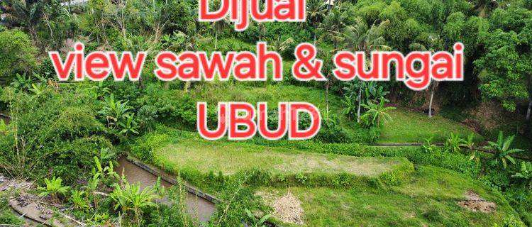 View Sawah, Sungai Dan Hutan UbuD 1