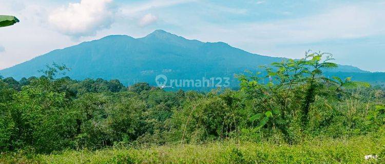 Tanah View Gunung Ungaran adem SHM ready free all in 1