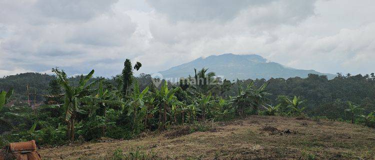 Jual Tanah Pinggir Jalan Desa Pandeglang, View Gunung, Masuk Mobil 1