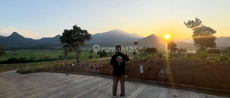 TANAH MURAH NEMPEL JALAN PROVINSI ZONA KUNING SIAP BANGUN  1