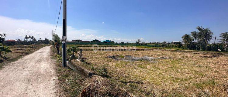 27 Are, Kavling Bali, Seseh Lease Hold 25th 1