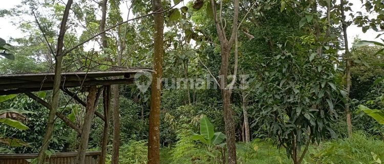 Jual tanah sebelah perumahan BCA kec. Sukahaji kab. Majalengka 1