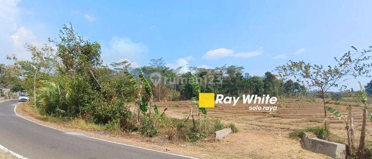 Tanah Pekarangan Zona Kuning Lokasi Mojogedang Karanganyar 1