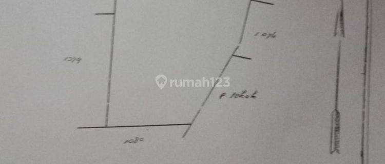 Tanah Pekarangan Luas Harga Murah Area Manyaran Wonogiri 1