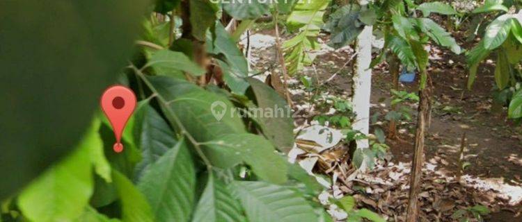1 Bidang Tanah Luas Siap Dibangun Lokasi Tajur Halang Bogor  1