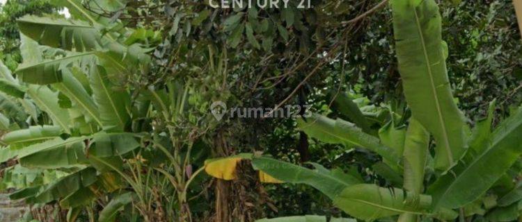 Tanah Lokasi Strategis Ada 2 Bidang 1 Area Di Tajur Halang Bogor  1