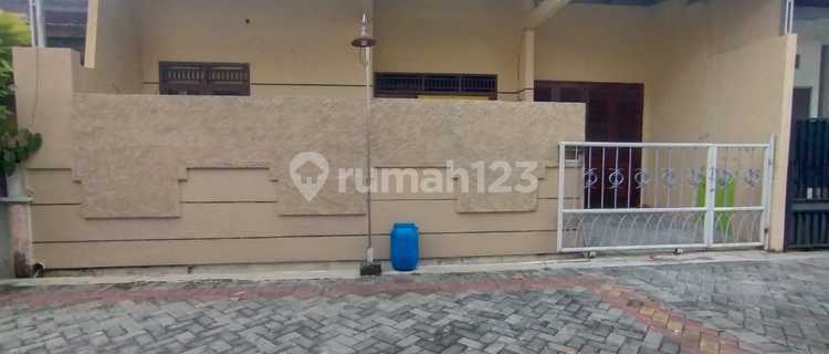 Disewakan Rumah Bebas Banjir . Bangunan 1,5 Lantai. Kt 3 + Km 2. Area Tanah Mas Semarang 1