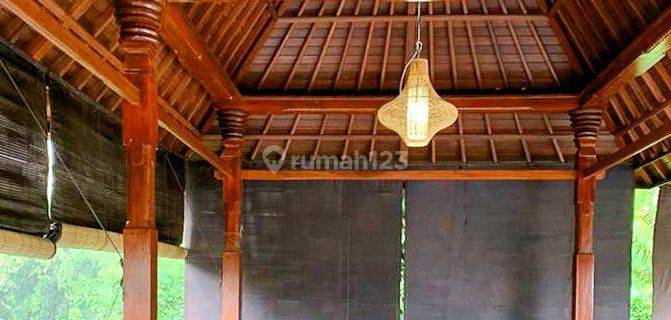 Dijual Rumah Villa Semi Furnished Bagus di Tabanan Bali 1