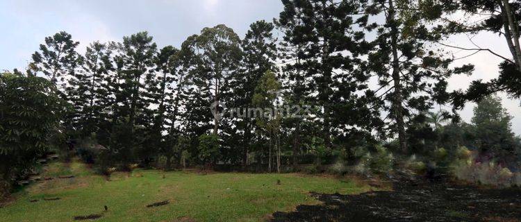 Villa Hitung Tanah Di Lokasi Terbaik Di Cimacan Cipanas, Mountain View 1