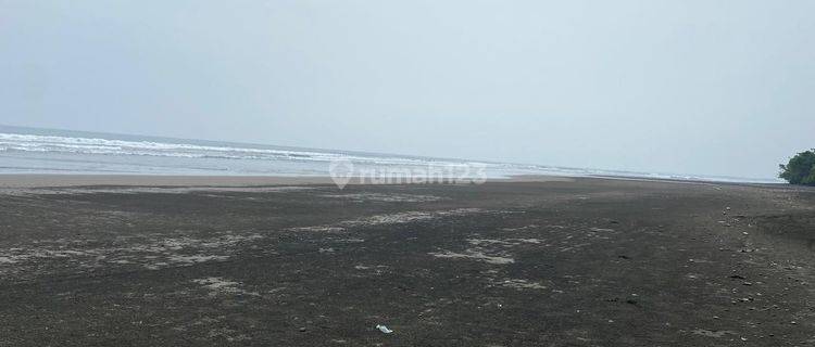 Land for Sale Near Pekutatan Beach Jembrana Area 150 Are 1