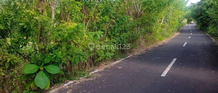 Dijual Tanah Los Pantai Pasut Tibubiyu Luas 170 Are 1