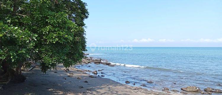 Dijual Tanah Los Pantai Cepel Jembrana Luas 800 Are 1