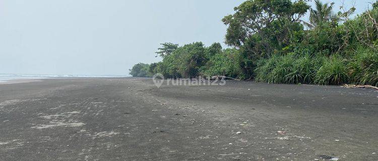 Dijual Tanah Los Pantai Medewi Jembrana Bali Luas 166 Are 1