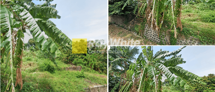 Jual Tanah Kosong di Babakan Jawa, Majalengka Cocok Untuk Cafe dan Villa 1