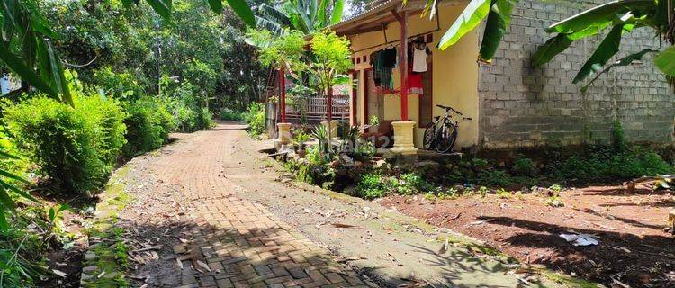 Tanah hadap Timur dekat terminal gunung pati, luas 241 meter 1