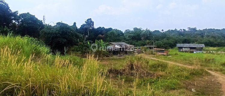 Tanah  Luas 3 Ha Cocok Buat Sekolah,  Town House Depok 1