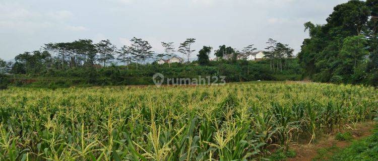 Tanah Siap Bangun Untuk Perumahan Di Kawasan Banjaran Bandung 1