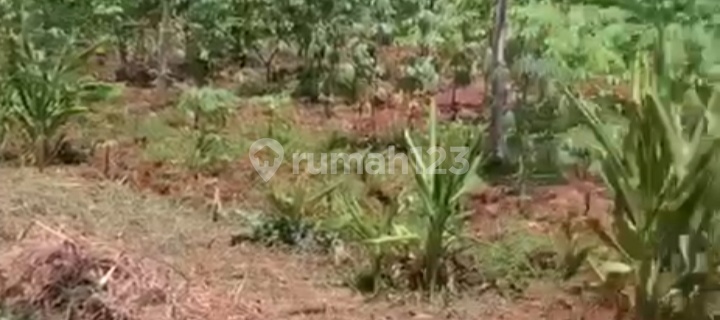 Tanah Datar Siap Bangun Area Gajah Mungkur Semarang 1