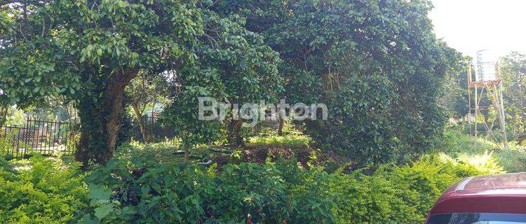 TANAH DATAR SIAP BANGUN AREA BANDUNGAN KABUPATEN SEMARANG 1
