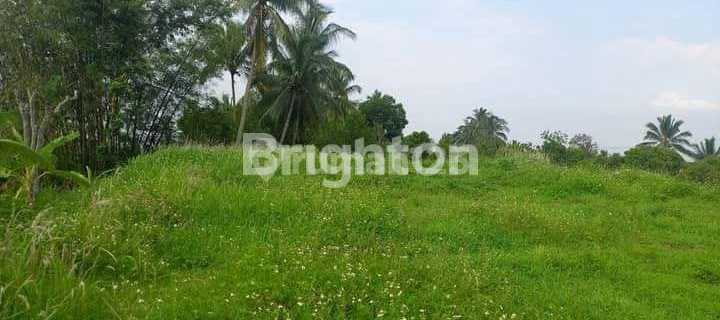 TANAH DATAR SIAP BANGUN AREA UNGARAN BARAT  1