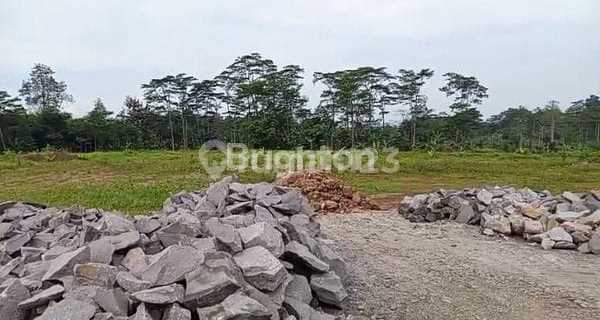 READY-TO-BUILD LAND IN BERGAS AREA, SEMARANG 1