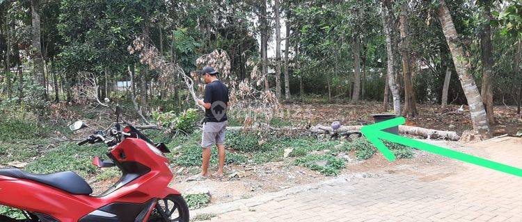 Tanah Datar Dekat Kampus dan Jalan Raya di Mangunsari  1