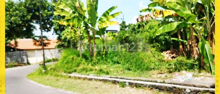 Cheap Land, Mojolaban, Near Solobaru, Truck Access, Near Public Facilities. 1