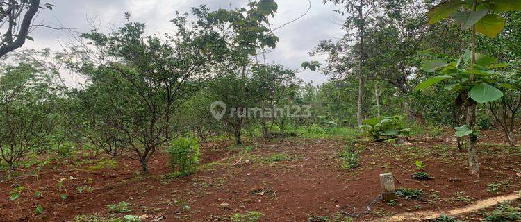 Dijual Tanah Di Gunung Pati Cocok Untuk Perumahan  1