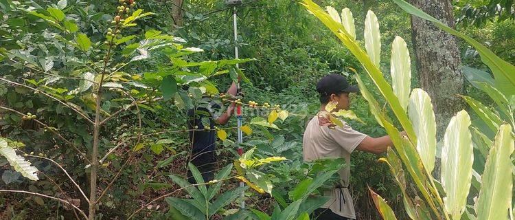 Dijual :Tanah Di Sukarame Majalaya 1