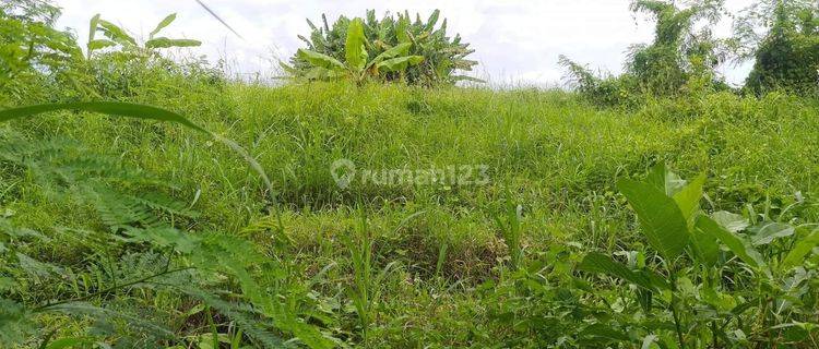 TOP URGENT LAND FOR SALE LOSS RIVER VIEW RICE POWDER LOCATION TANAH LOT KEDIRI TABANAN
 1