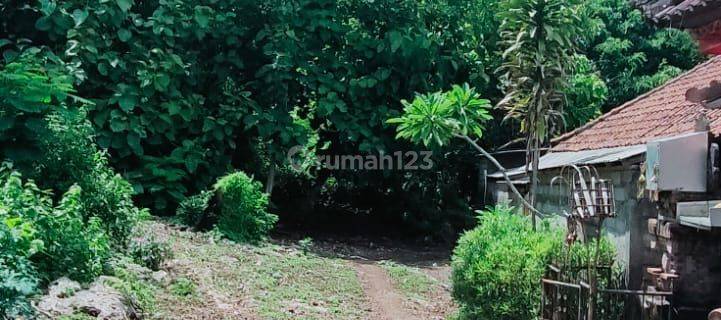 TOP URGENT DI JUAL TANAH LOKASI SAWANGAN NUSA DUA KUTA SELATAN BADUNG
 1