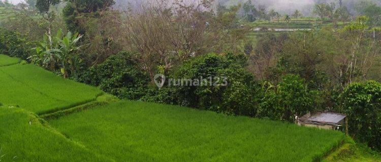 TOP URGENT FOR SALE LAND LOCATION PELAGA PETANG BADUNG
 1