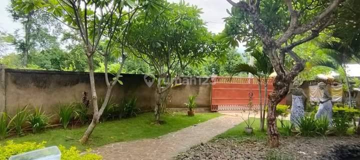 TOP URGENT VILLA FOR SALE IN GAMBUH SUKASADA BULELENG LOCATION 1