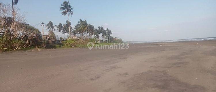 TOP URGENT DI JUAL TANAH LOSS PANTAI VIEW LAUT LOKASI PANGYANGAN PEKUTATAN JEMBRANA 
 1