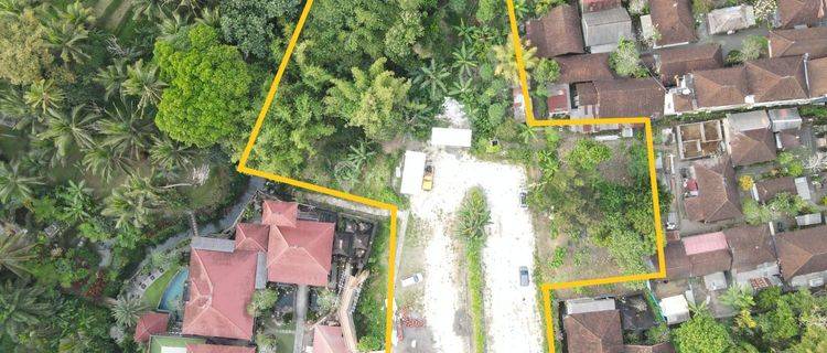 TOP URGENT DI JUAL TANAH LOKASI SUWETA UBUD GIANYAR 1