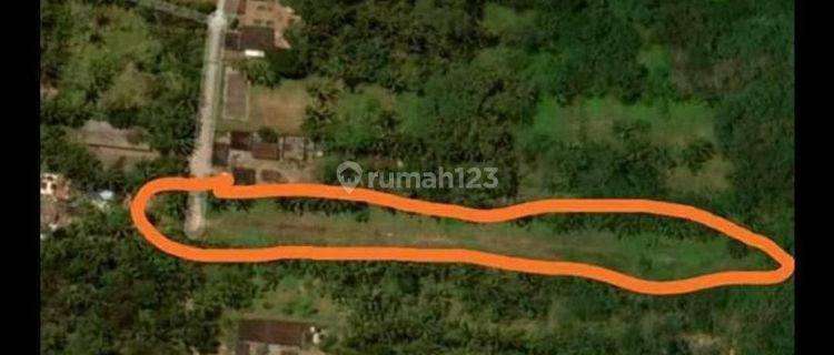 TOP URGENT DI JUAL TANAH LOSS SUNGAI VIEW HUTAN LOKASI CAU BLAYU MARGA TABANAN
 1