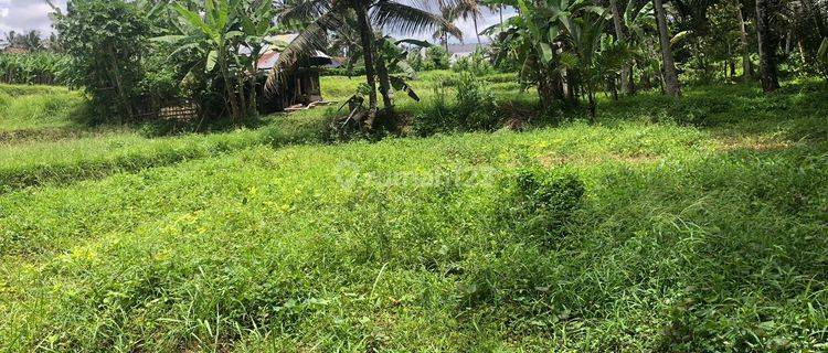 TOP URGENT DI JUAL TANAH LOKASI PEJENG UBUD GIANYAR 1