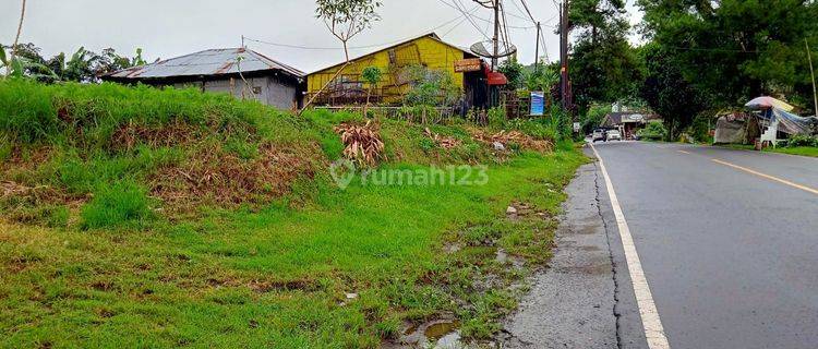 TOP URGENT FOR SALE LAND BESIDE MAIN ROAD LOCATION BATURITI TABANAN
 1