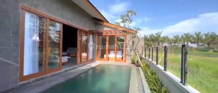 TOP URGENT DI JUAL VILLA VIEW SAWAH LOKASI LODTUNDUH UBUD GIANYAR 1