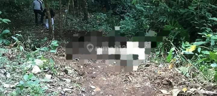 TOP URGENT DI JUAL TANAH LOKASI PEJENG KANGIN UBUD GIANYAR 1