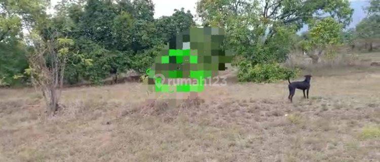 TOP URGENT DI JUAL TANAH PINGGIR JALAN UTAMA LOKASI TULAMBEN KARANGASEM
 1