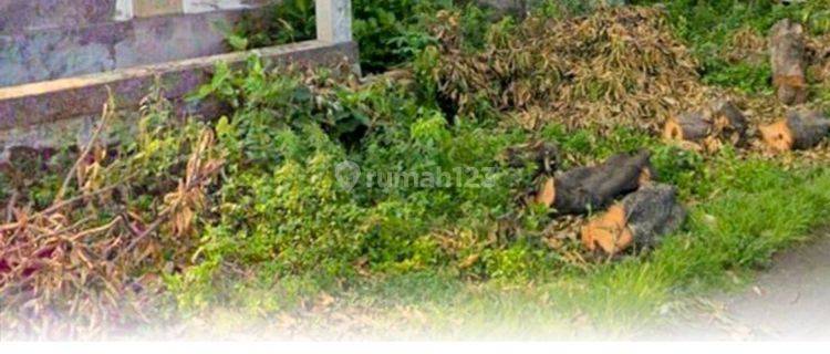 Rumah Lama Hitung Tanah Tanah di Nganjuk SHM - Sertifikat Hak Milik 1