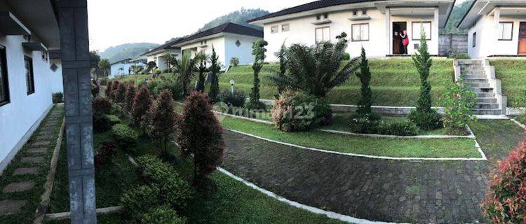 Cottage Bumijawa Nyaman & Asri di Tegal,Jawa Tengah 1